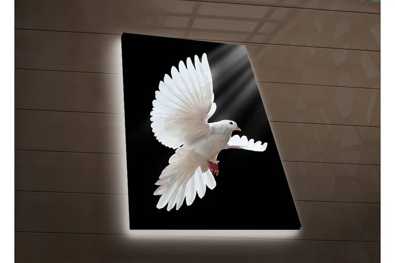 Lærredstryk med LED-belysning 70x45 cm - Hvid due i flugt med udstrakte vinger - Hvid / Sort - Boligtilbehør - Billeder & kunst - Billeder på lærred
