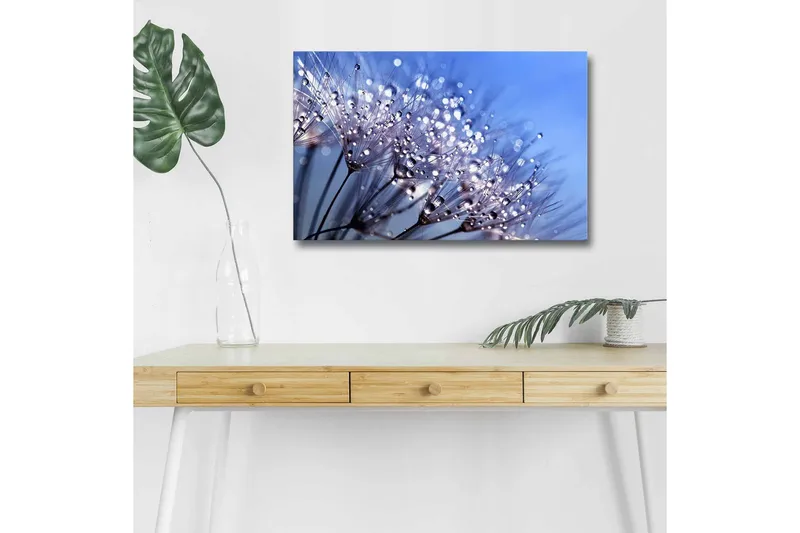 Lærredstryk med LED-belysning - Delikat blomsterkomposition med vanddråber, Blå / Hvid / Lilla