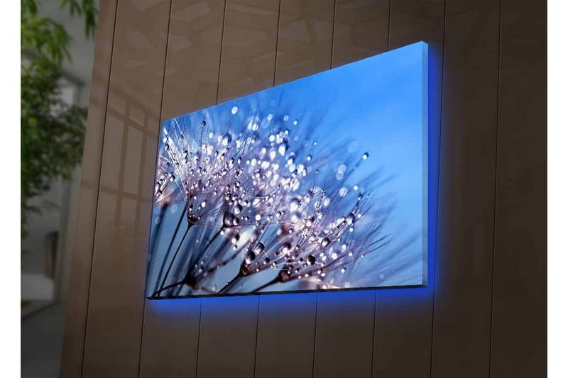 Lærredstryk med LED-belysning - Delikat blomsterkomposition med vanddråber - Blå / Hvid / Lilla - Boligtilbehør - Billeder & kunst - Billeder på lærred