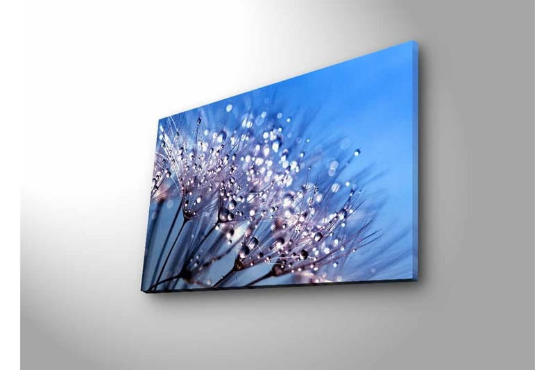 Lærredstryk med LED-belysning - Delikat blomsterkomposition med vanddråber - Blå / Hvid / Lilla - Boligtilbehør - Billeder & kunst - Billeder på lærred