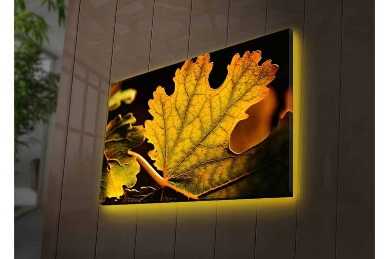 Lærredstryk med LED-belysning - Detaljeret komposition af grønne og gyldne blade - Grøn / Gylden - Boligtilbehør - Billeder & kunst - Billeder på lærred