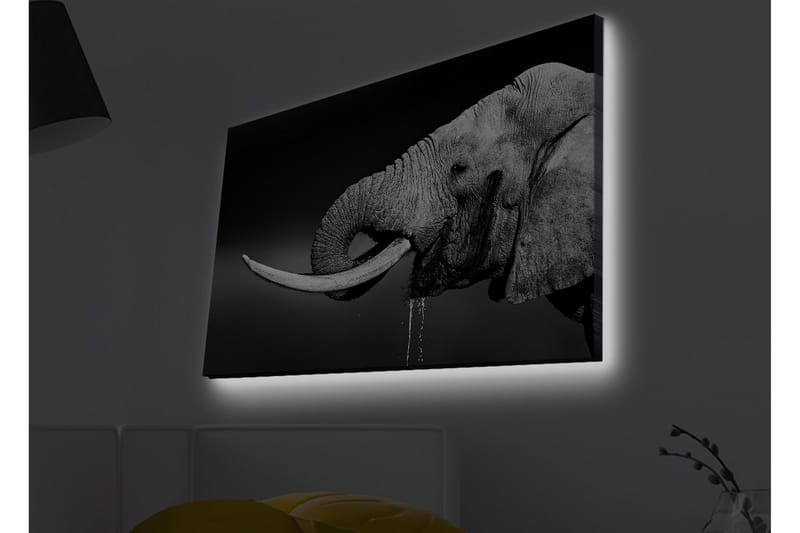 Lærredstryk med LED-belysning - Elefant i sort-hvid med detaljeret tekstur - Sort / Hvid / Grå - Boligtilbehør - Billeder & kunst - Billeder på lærred