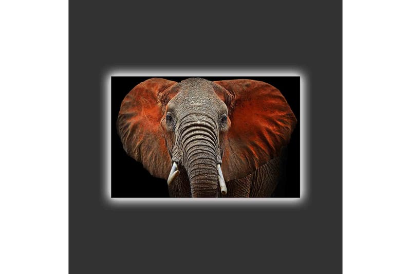 Lærredstryk med LED-belysning - Elefant med majestætiske ører i afdæmpede farver - Grå / Rød / Sort - Boligtilbehør - Billeder & kunst - Billeder på lærred