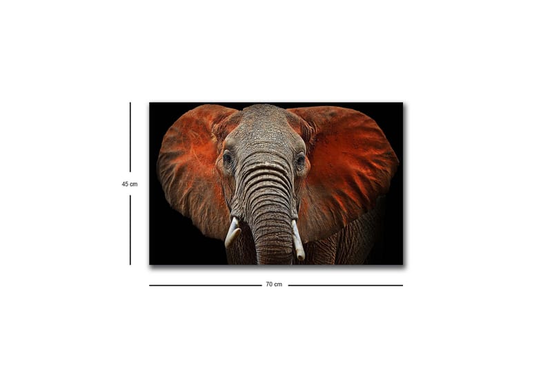 Lærredstryk med LED-belysning - Elefant med majestætiske ører i afdæmpede farver - Grå / Rød / Sort - Boligtilbehør - Billeder & kunst - Billeder på lærred
