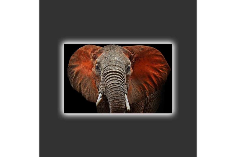 Lærredstryk med LED-belysning - Elefant med majestætiske ører i afdæmpede farver - Grå / Rød / Sort - Boligtilbehør - Billeder & kunst - Billeder på lærred