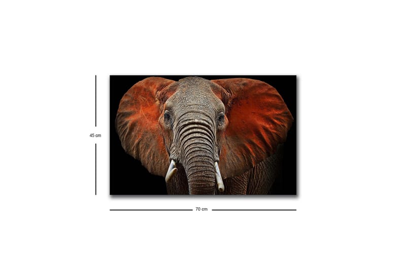 Lærredstryk med LED-belysning - Elefant med majestætiske ører i afdæmpede farver - Grå / Rød / Sort - Boligtilbehør - Billeder & kunst - Billeder på lærred