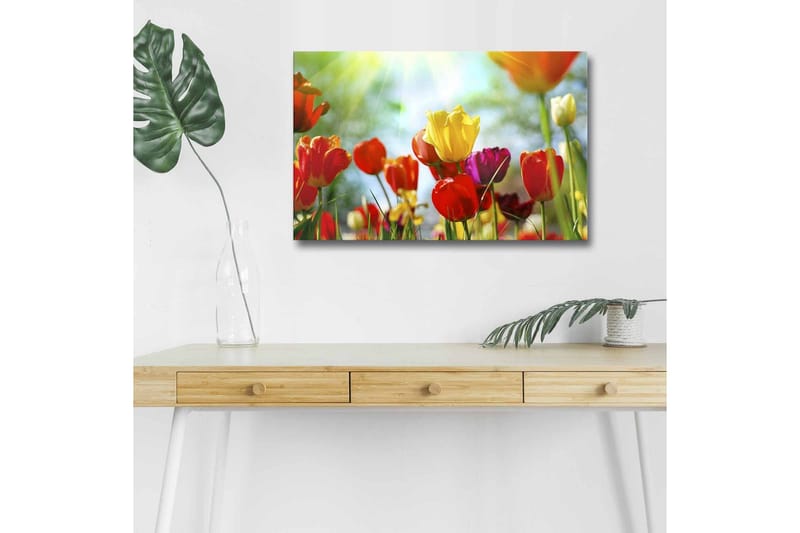 Lærredstryk med LED-belysning - Farverig buket tulipaner, Rød / Gul / Lilla