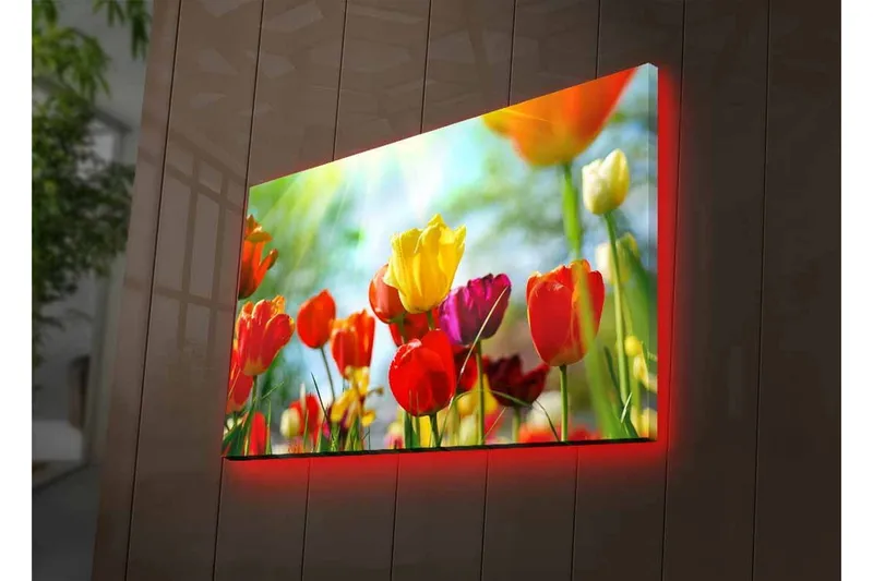 Lærredstryk med LED-belysning - Farverig buket tulipaner - Rød / Gul / Lilla - Boligtilbehør - Billeder & kunst - Billeder på lærred