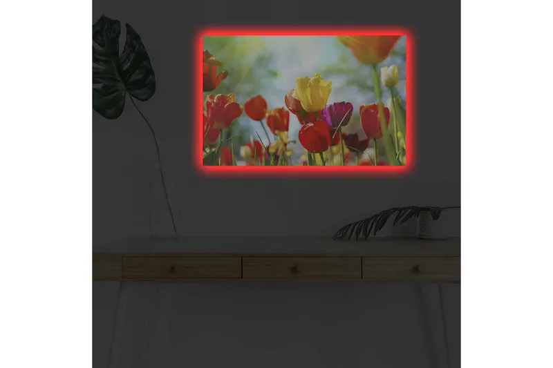 Lærredstryk med LED-belysning - Farverig buket tulipaner - Rød / Gul / Lilla - Boligtilbehør - Billeder & kunst - Billeder på lærred