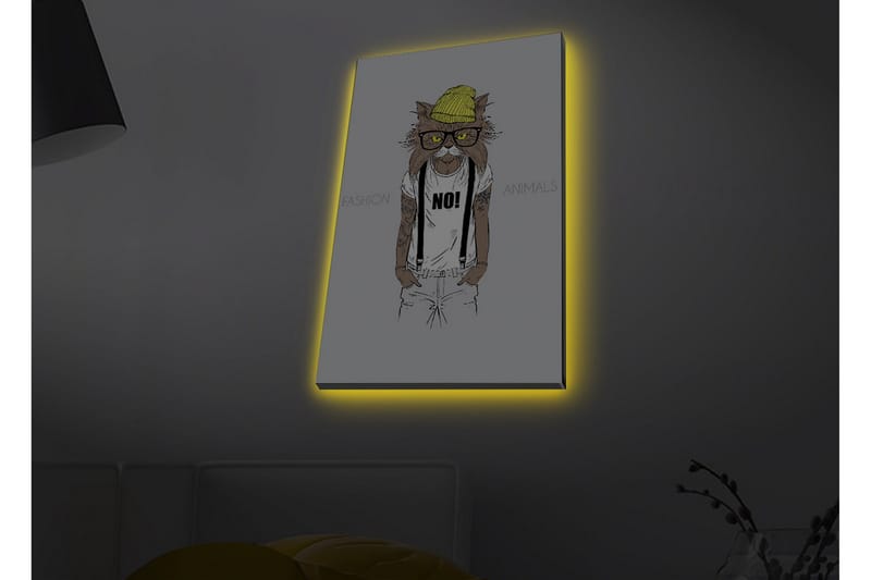 Lærredstryk med LED-belysning - Hipster-stil kat i tøj og briller - Gul / Brun / Hvid - Boligtilbehør - Billeder & kunst - Billeder på lærred