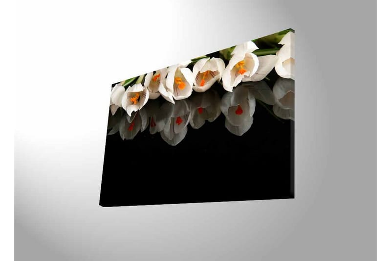 Lærredstryk med LED-belysning - Hvid blomsterbuket med refleksion på sort baggrund - Hvid / Orange / Grøn - Boligtilbehør - Billeder & kunst - Billeder på lærred
