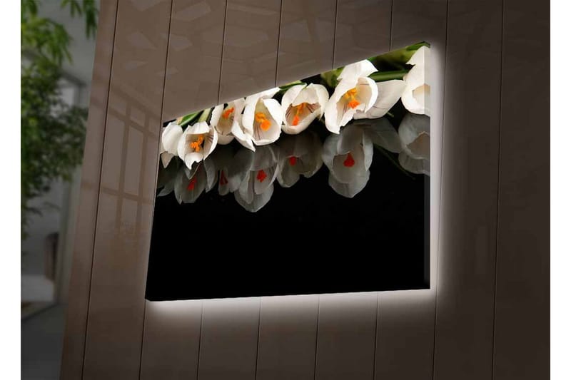 Lærredstryk med LED-belysning - Hvid blomsterbuket med refleksion på sort baggrund - Hvid / Orange / Grøn - Boligtilbehør - Billeder & kunst - Billeder på lærred