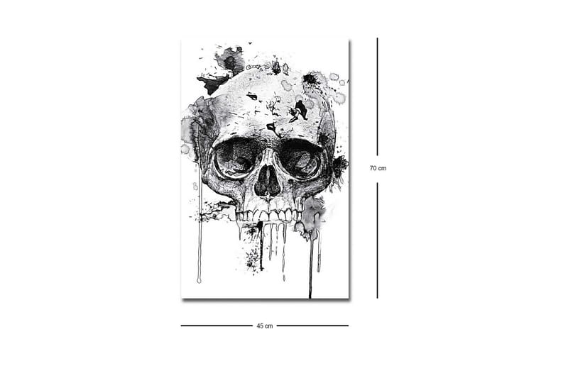 Lærredstryk med LED-belysning - Kranie med abstrakte blækdetaljer - Sort / Grå - Boligtilbehør - Billeder & kunst - Billeder på lærred