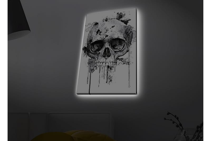 Lærredstryk med LED-belysning - Kranie med abstrakte blækdetaljer - Sort / Grå - Boligtilbehør - Billeder & kunst - Billeder på lærred