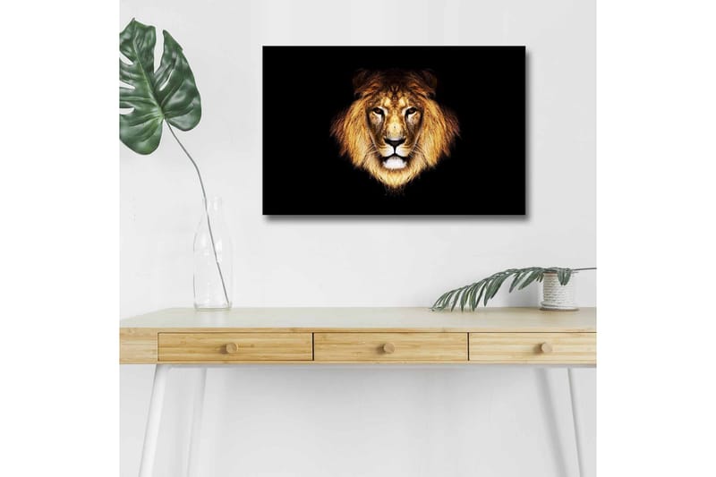 Lærredstryk med LED-belysning - Løvehoved med intenst blik, Guld / Sort / Brun
