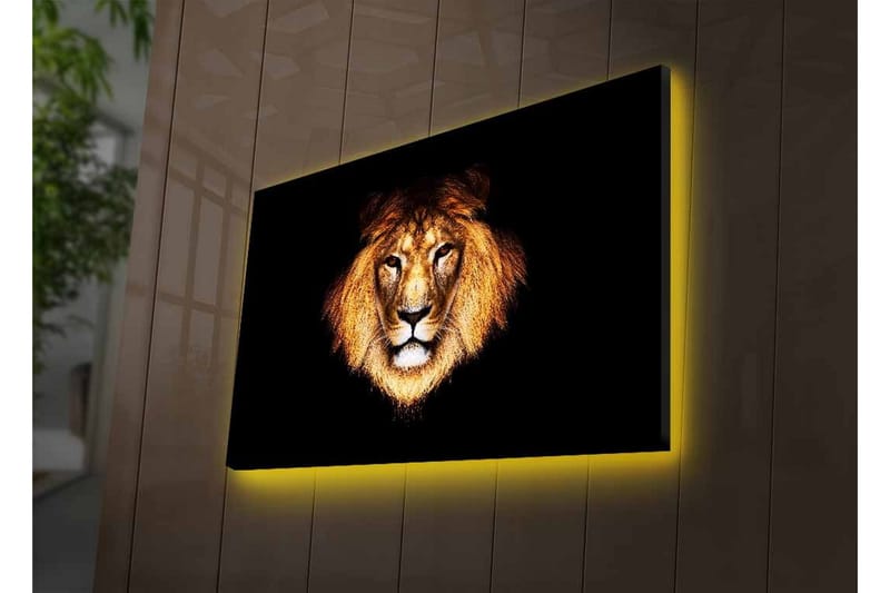 Lærredstryk med LED-belysning - Løvehoved med intenst blik - Guld / Sort / Brun - Boligtilbehør - Billeder & kunst - Billeder på lærred