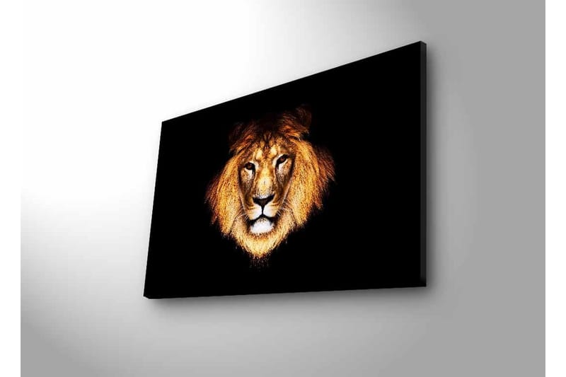 Lærredstryk med LED-belysning - Løvehoved med intenst blik - Guld / Sort / Brun - Boligtilbehør - Billeder & kunst - Billeder på lærred