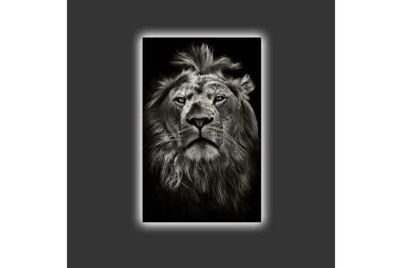 Lærredstryk med LED-belysning - Majestætisk løvehoved i sort-hvid - Sort / Grå - Boligtilbehør - Billeder & kunst - Billeder på lærred