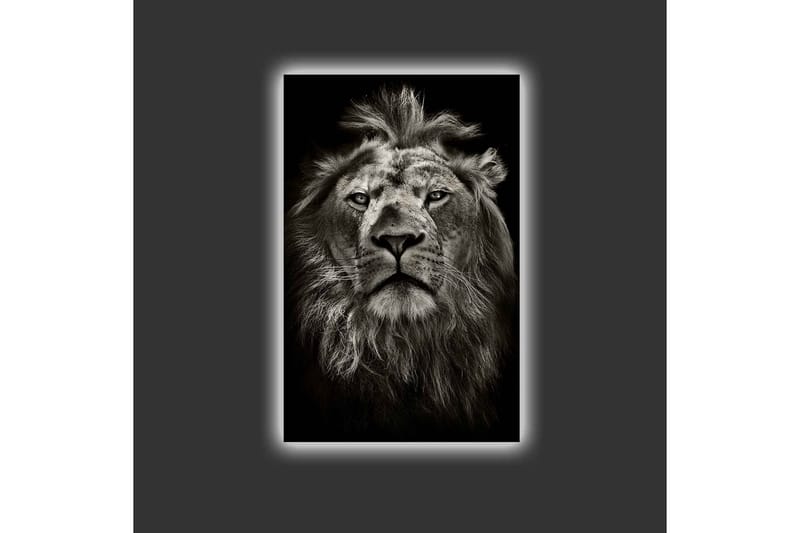 Lærredstryk med LED-belysning - Majestætisk løvehoved i sort-hvid - Sort / Grå - Boligtilbehør - Billeder & kunst - Billeder på lærred