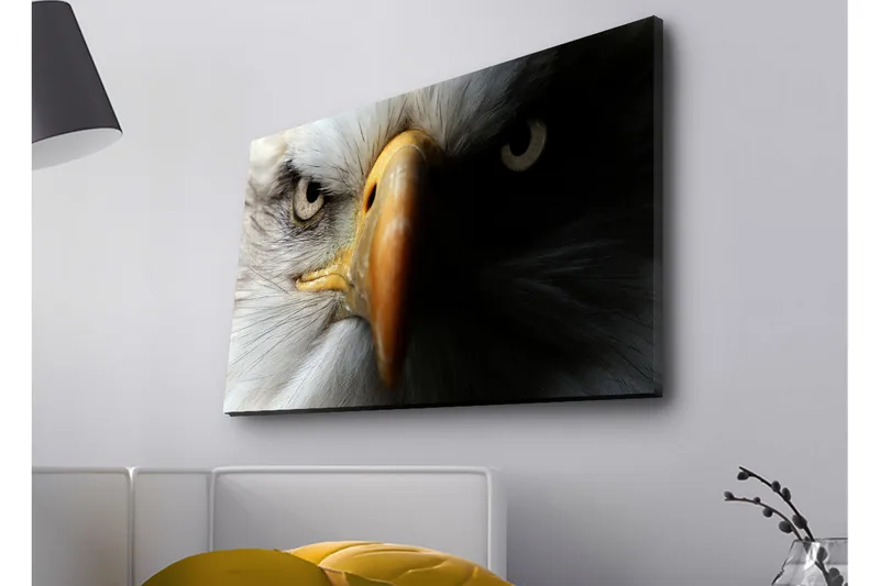 Lærredstryk med LED-belysning - Nærbillede af en majestætisk ørn med intense øjne, Hvid / Sort / Orange
