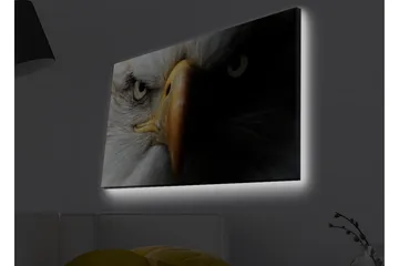 Lærredstryk med LED-belysning - Nærbillede af en majestætisk ørn med intense øjne - Hvid / Sort / Orange - Boligtilbehør - Billeder & kunst - Billeder på lærred