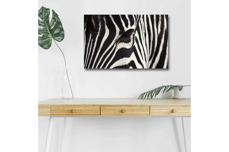 Lærredstryk med LED-belysning - Nærbillede af et zebraansigt med tydelige sorte og hvide striber, Sort / Hvid
