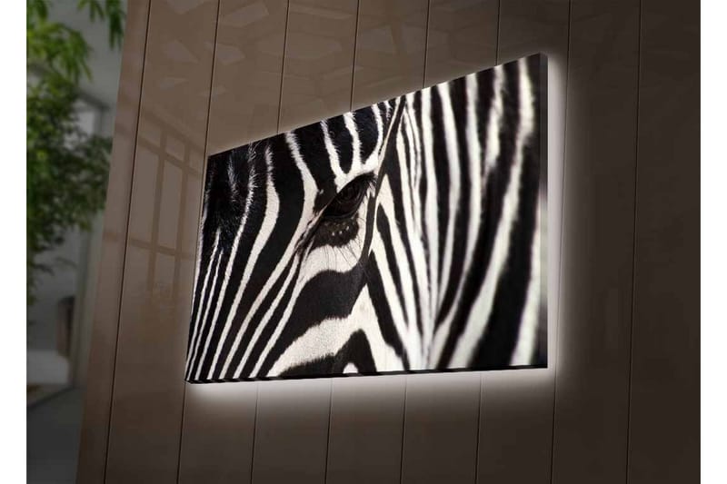 Lærredstryk med LED-belysning - Nærbillede af et zebraansigt med tydelige sorte og hvide striber - Sort / Hvid - Boligtilbehør - Billeder & kunst - Billeder på lærred