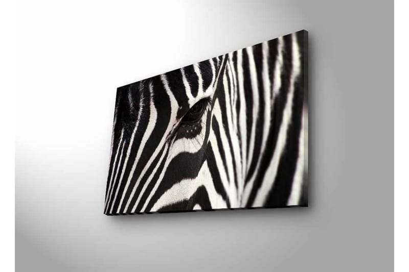 Lærredstryk med LED-belysning - Nærbillede af et zebraansigt med tydelige sorte og hvide striber - Sort / Hvid - Boligtilbehør - Billeder & kunst - Billeder på lærred