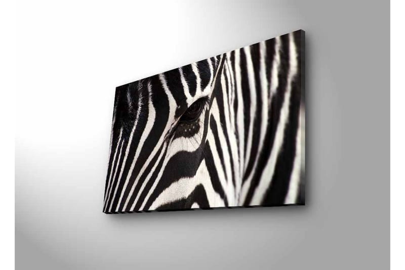 Lærredstryk med LED-belysning - Nærbillede af et zebraansigt med tydelige sorte og hvide striber - Sort / Hvid - Boligtilbehør - Billeder & kunst - Billeder på lærred