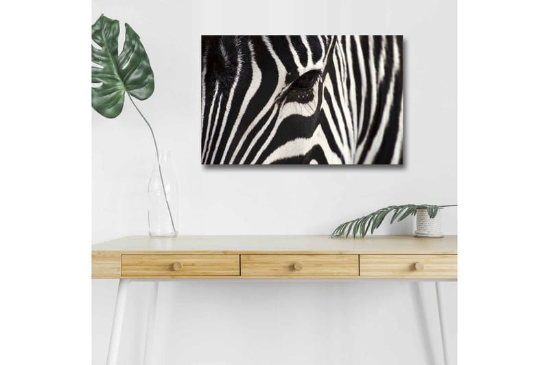 Lærredstryk med LED-belysning - Nærbillede af et zebraansigt med tydelige sorte og hvide striber, Sort / Hvid