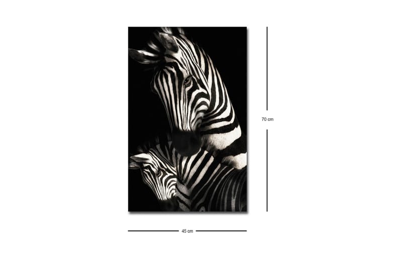 Lærredstryk med LED-belysning - Sort-hvide zebraer med karakteristiske striber - Sort / Hvid - Boligtilbehør - Billeder & kunst - Billeder på lærred