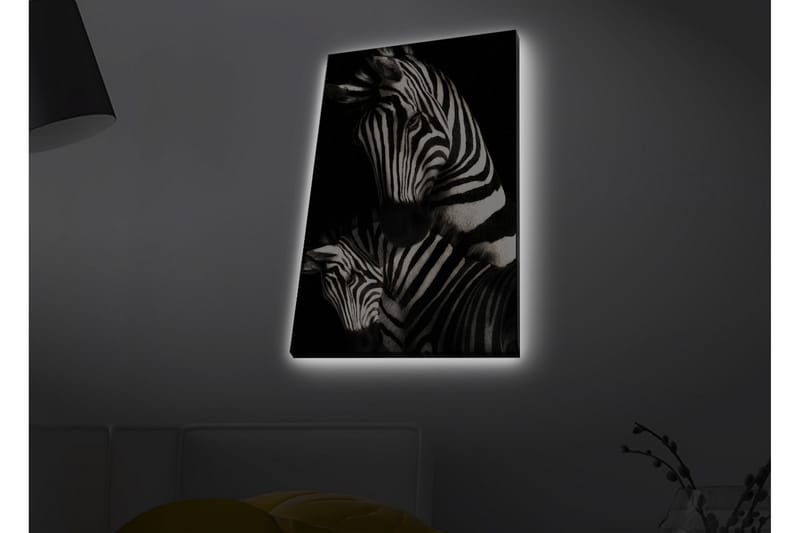 Lærredstryk med LED-belysning - Sort-hvide zebraer med karakteristiske striber - Sort / Hvid - Boligtilbehør - Billeder & kunst - Billeder på lærred