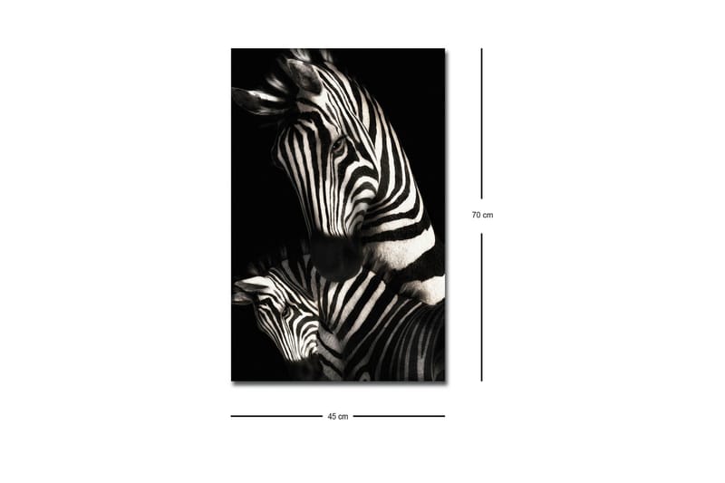 Lærredstryk med LED-belysning - Sort-hvide zebraer med karakteristiske striber - Sort / Hvid - Boligtilbehør - Billeder & kunst - Billeder på lærred