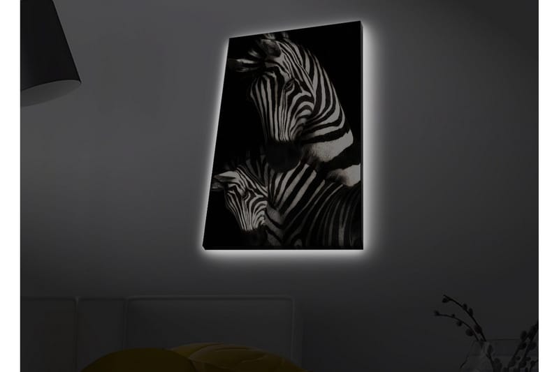 Lærredstryk med LED-belysning - Sort-hvide zebraer med karakteristiske striber - Sort / Hvid - Boligtilbehør - Billeder & kunst - Billeder på lærred