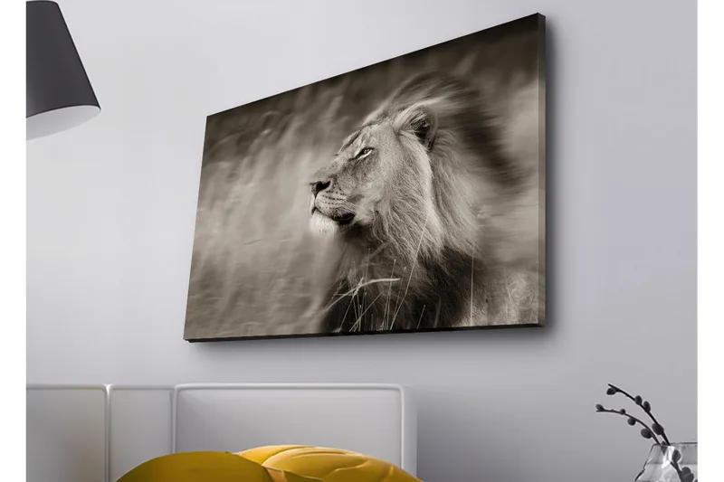 Lærredstryk med LED-belysning - Statslig løveprofil i sort-hvid - Sort / Grå - Boligtilbehør - Billeder & kunst - Billeder på lærred