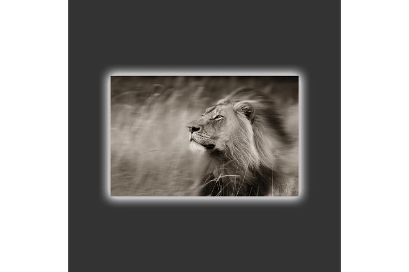 Lærredstryk med LED-belysning - Statslig løveprofil i sort-hvid - Sort / Grå - Boligtilbehør - Billeder & kunst - Billeder på lærred
