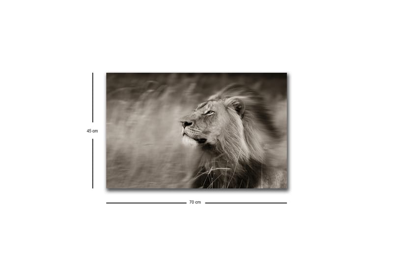 Lærredstryk med LED-belysning - Statslig l øveprofil i sort-hvid - Sort / Grå - Boligtilbehør - Billeder & kunst - Billeder på lærred