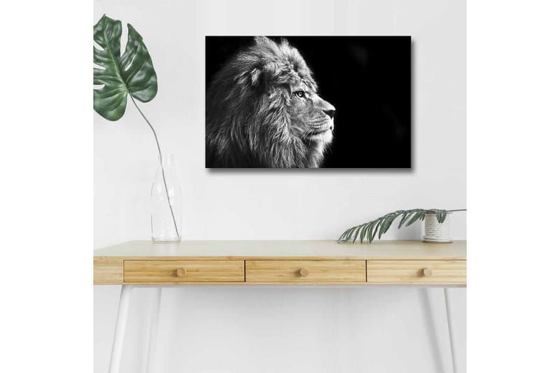 Lærredstryk med LED-belysning - Statslig løveprofil i sort-hvid, Sort / Grå
