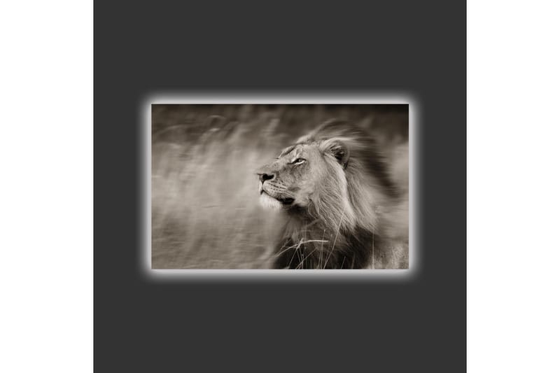 Lærredstryk med LED-belysning - Statslig løveprofil i sort-hvid - Sort / Grå - Boligtilbehør - Billeder & kunst - Billeder på lærred