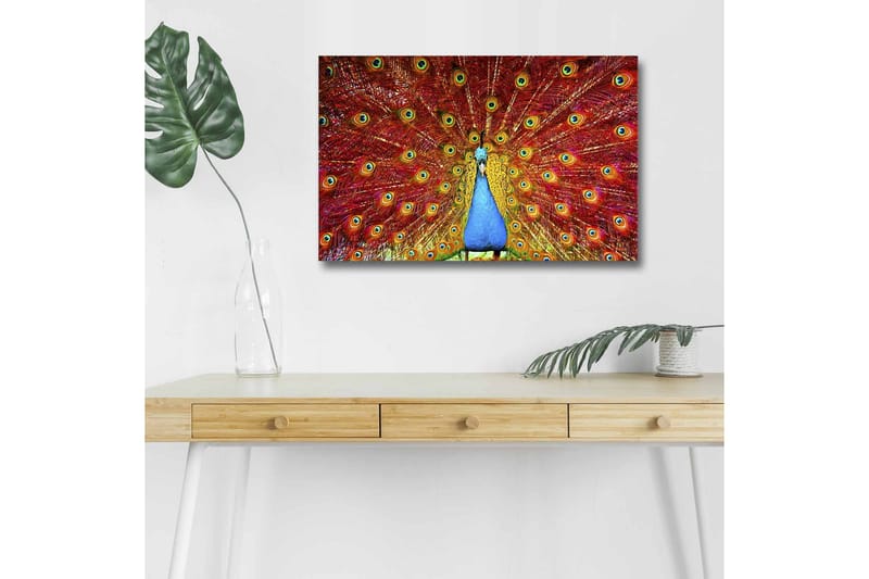 Lærredstryk med LED-belysning - Storslået påfugl med spredte fjer i livlige farver - Rød / Blå / Grøn - Boligtilbehør - Billeder & kunst - Billeder på lærred