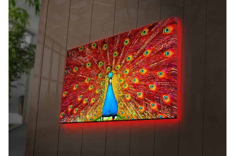 Lærredstryk med LED-belysning - Storslået påfugl med spredte fjer i livlige farver - Rød / Blå / Grøn - Boligtilbehør - Billeder & kunst - Billeder på lærred
