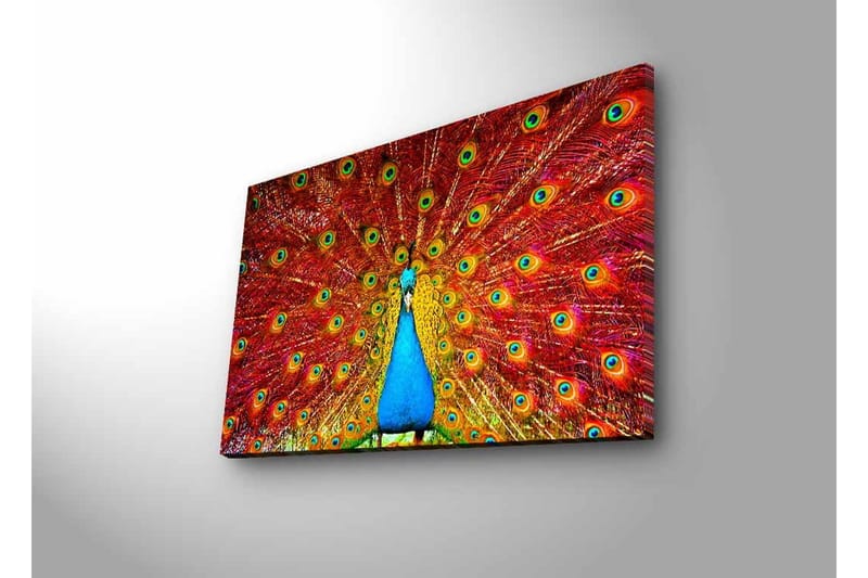 Lærredstryk med LED-belysning - Storslået påfugl med spredte fjer i livlige farver - Rød / Blå / Grøn - Boligtilbehør - Billeder & kunst - Billeder på lærred