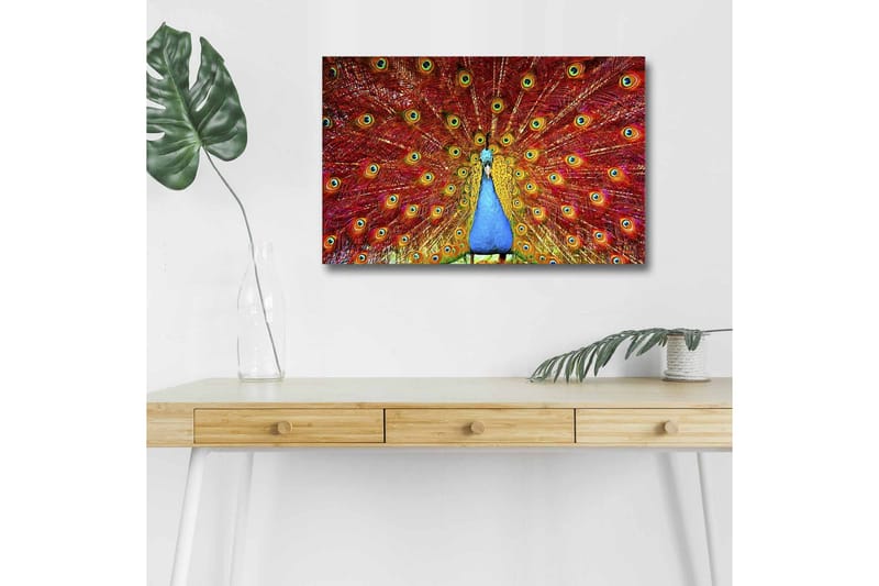 Lærredstryk med LED-belysning - Storslået påfugl med spredte fjer i livlige farver - Rød / Blå / Grøn - Boligtilbehør - Billeder & kunst - Billeder på lærred