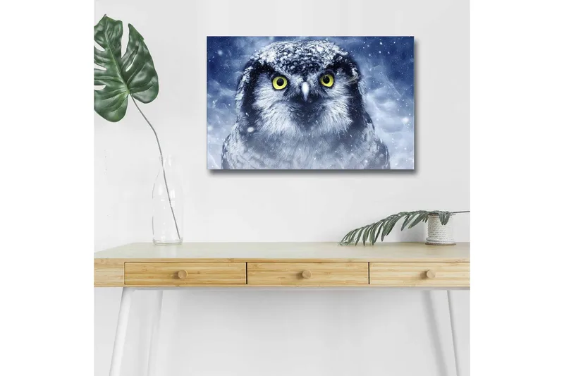 Lærredstryk med LED-belysning - Ugle med snehvide detaljer og intense øjne, Blå / Hvid / Gul