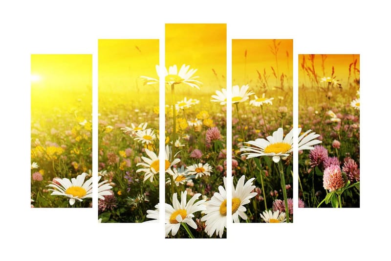 Stort lærredstryk i 5 dele 105x70 cm - Blomstrende eng med margueritter og kløverblomster - Gul / Hvid / Grøn - Boligtilbehør - Billeder & kunst - Billeder på lærred