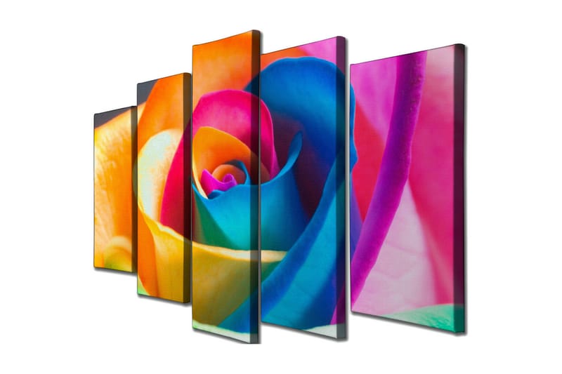 Stort lærredstryk i 5 dele 105x70 cm - Farverig rose med intense nuancer - Orange / Blå / Lyserød - Boligtilbehør - Billeder & kunst - Billeder på lærred
