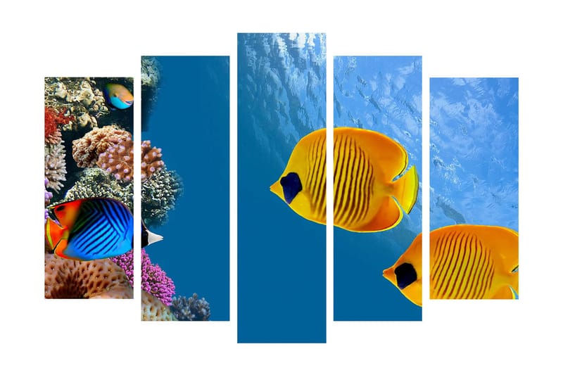 Stort lærredstryk i 5 dele 105x70 cm - Farverige fisk der svømmer blandt koralrev - Blå / Gul / Lilla - Boligtilbehør - Billeder & kunst - Billeder på lærred