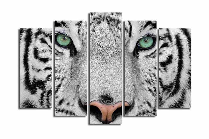 Stort lærredstryk i 5 dele 105x70 cm - Nærbillede af en hvid tiger med intense øjne - Hvid / Sort / Grøn - Boligtilbehør - Billeder & kunst - Billeder på lærred