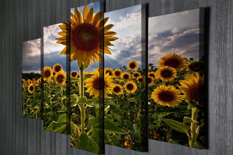Stort lærredstryk i 5 dele 105x70 cm - Solrige solsikker i en blomstrende mark - Gul / Grøn / Brun - Boligtilbehør - Billeder & kunst - Billeder på lærred