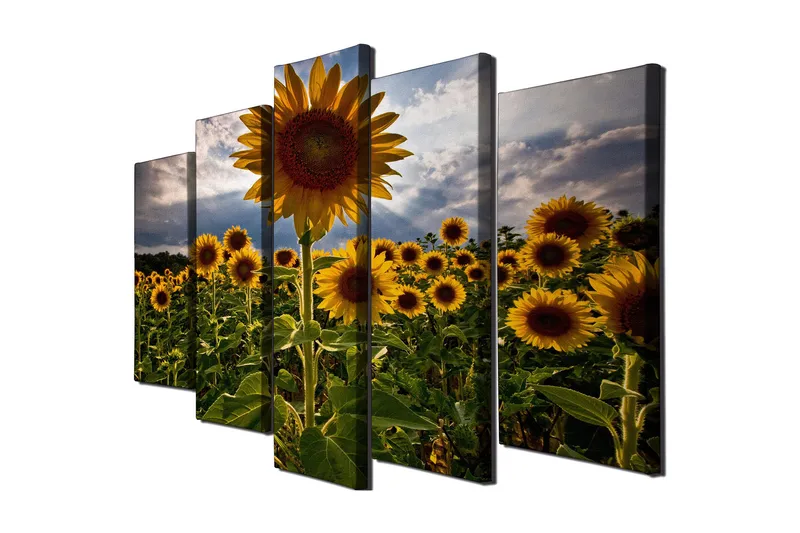 Stort lærredstryk i 5 dele 105x70 cm - Solrige solsikker i en blomstrende mark - Gul / Grøn / Brun - Boligtilbehør - Billeder & kunst - Billeder på lærred